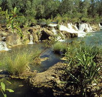 Flora River Nature Park - Australia Accommodation
