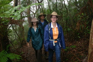 Mount Cougal, Springbrook National Park - Australia Accommodation 0