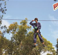 Adventure Parc at Currumbin Wildlife Sanctuary - Australia Accommodation