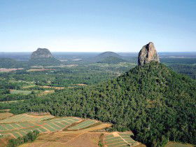 Mt Tibrogargan - Australia Accommodation 0