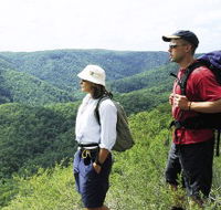 Sunshine Coast Hinterland Great Walk - Australia Accommodation