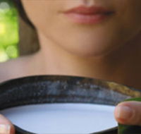 Ikatan Day Spa - Australia Accommodation