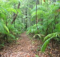 Delicia Road Conservation Park - Australia Accommodation