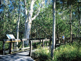 Noosa Heads QLD Australia Accommodation