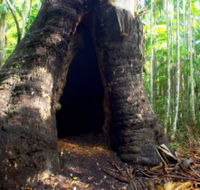 Tewantin National Park - Australia Accommodation
