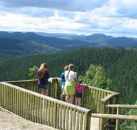 Kenilworth Forest Reserve - Australia Accommodation