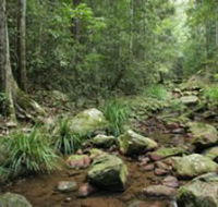 Amamoor State Forest - Australia Accommodation