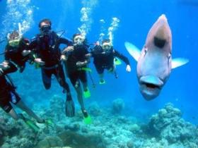 Jew Shoal Dive Site - Australia Accommodation 0