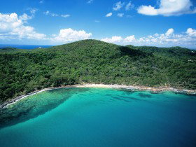 Noosa Heads Coastal Track - Australia Accommodation 0