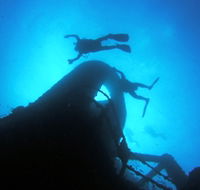 Ex HMAS Brisbane Dive Site - Australia Accommodation