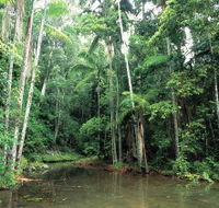 Mount Allan Trail - Australia Accommodation