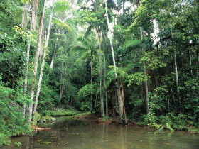 Mount Allan Trail - Australia Accommodation 0