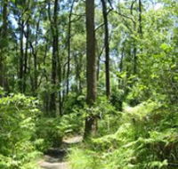 Mapleton Falls National Park - Australia Accommodation