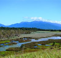 Eubenangee Swamp National Park - Australia Accommodation