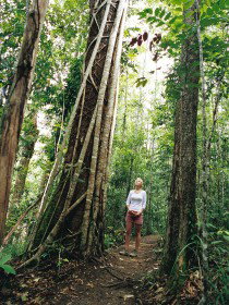 Wet Tropics - Australia Accommodation 0