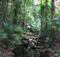 Mossman Gorge Rainforest Circuit Track Daintree National Park - Australia Accommodation