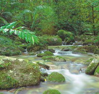Mossman Gorge Daintree National Park - Australia Accommodation