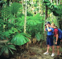 Mount Sorrow Ridge Trail Daintree National Park - Australia Accommodation