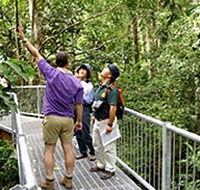 Daintree Discovery Centre - Australia Accommodation