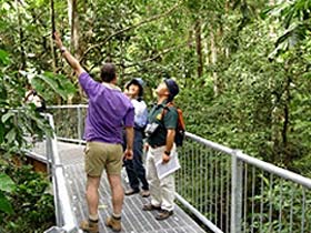 Daintree Discovery Centre - Australia Accommodation 0