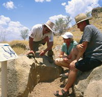 Riversleigh Fossil Fields - Australia Accommodation