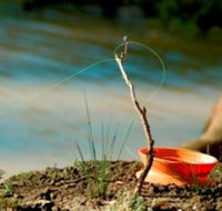 Charleville - Mangalore Warrego River Fishing Spot - Australia Accommodation