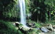 Curtis Falls, Joalah Section - thumb 0