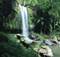 Curtis Falls Joalah Section - Australia Accommodation