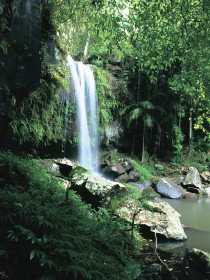Curtis Falls, Joalah Section - Australia Accommodation 0
