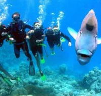 Gotham City Dive Site - Australia Accommodation