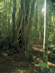  Australia Accommodation