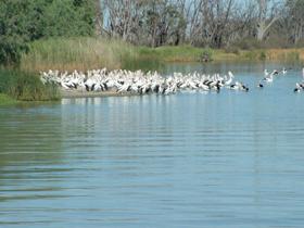 Lake Ross - Australia Accommodation 0