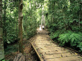 Malanda QLD Australia Accommodation