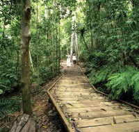 Lake Barrine Circuit Track Crater Lakes National Park - Australia Accommodation