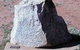 Destructo Monument - thumb 0