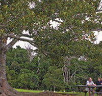 Ravensbourne National Park - Australia Accommodation