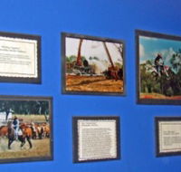 Town Hall Photographic Display - Australia Accommodation