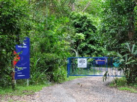 Carrington QLD Australia Accommodation