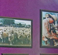 Charleville Photographic Display - Australia Accommodation