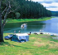 Danbulla National Park and Danbulla State Forest - Australia Accommodation
