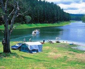 Danbulla National Park And Danbulla State Forest - Australia Accommodation 0