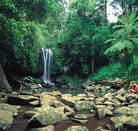 Tamborine National Park - Australia Accommodation
