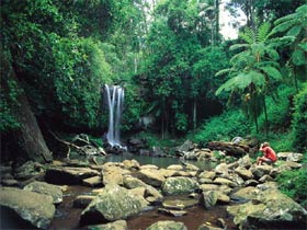 Tamborine National Park - Australia Accommodation 0