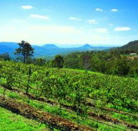 Preston Peak Wines - Australia Accommodation