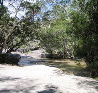 Davies Creek National Park and Dinden National Park - Australia Accommodation