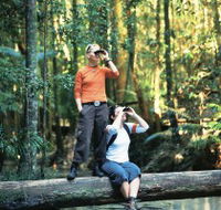 Birdwatching on the Fraser Coast - Australia Accommodation