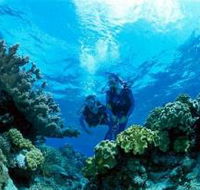 Coral Gardens Dive Site - Australia Accommodation
