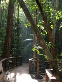 Basin Lake Track - Australia Accommodation 0