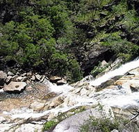 Dinden National Park - Australia Accommodation