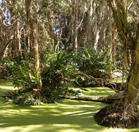 Arkarra Lagoons and Tea Gardens - Australia Accommodation